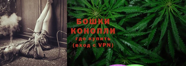 ГАЛЛЮЦИНОГЕННЫЕ ГРИБЫ Кулебаки
