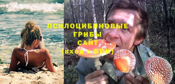 соль курить ск Кукмор
