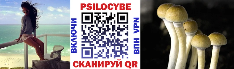 Псилоцибиновые грибы мицелий  Фёдоровский 